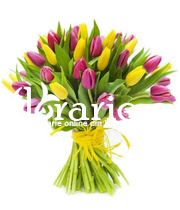 Colored tulips bouquet