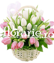 Two colors tulips basket
