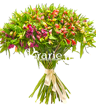 Buchet 49 alstroemeria