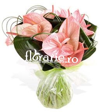 Buchet anthurium roz