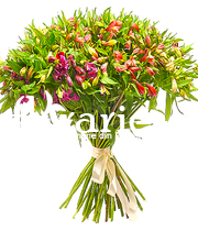 Buchet 49 alstroemeria