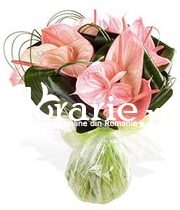 Buchet anthurium roz