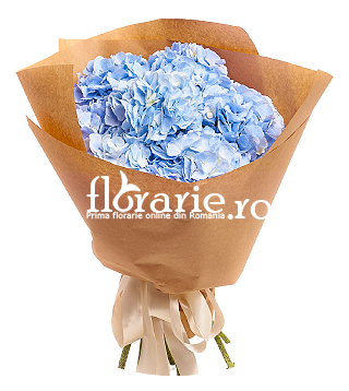 Buchet 7 hortensii albastre