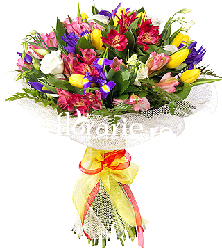 Buchet Flori Martie Florarie Ro