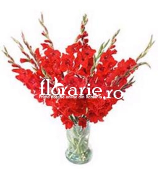 Gladiole rosii