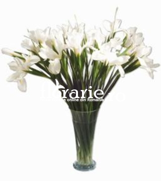 Irisi albi