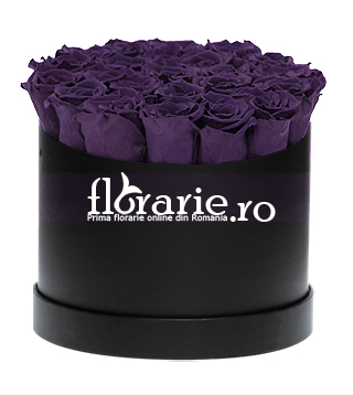 Preserved Violet Roses In Box Florarie Ro
