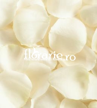 Petale trandafiri albi