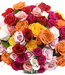 49 Trandafiri multicolori