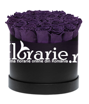 Cutie trandafiri violet criogenati